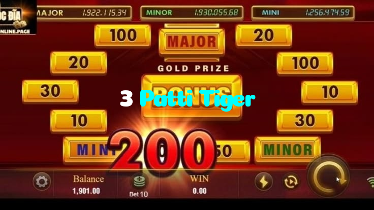 3 Patti Tiger